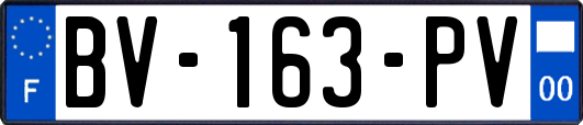 BV-163-PV