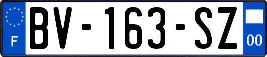 BV-163-SZ