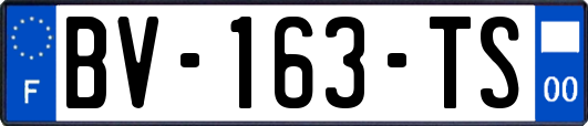 BV-163-TS