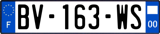 BV-163-WS