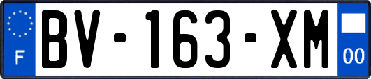 BV-163-XM