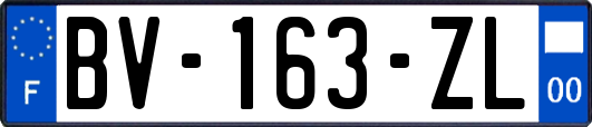 BV-163-ZL