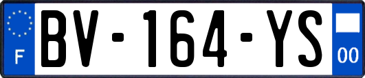 BV-164-YS