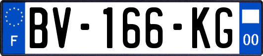BV-166-KG