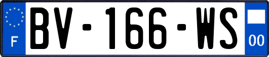 BV-166-WS