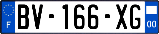 BV-166-XG