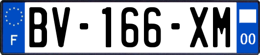 BV-166-XM