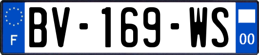 BV-169-WS