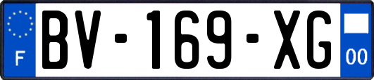 BV-169-XG