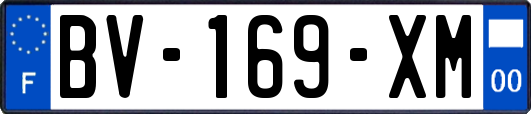 BV-169-XM