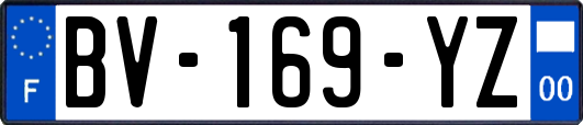 BV-169-YZ