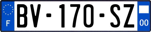 BV-170-SZ