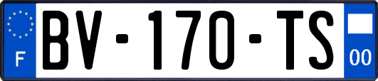 BV-170-TS