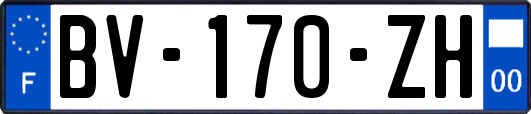 BV-170-ZH