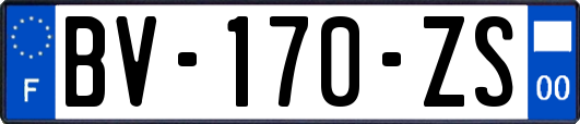 BV-170-ZS