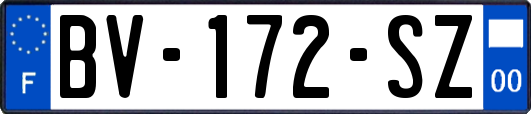 BV-172-SZ