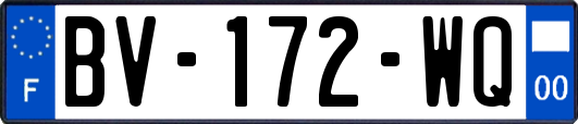 BV-172-WQ