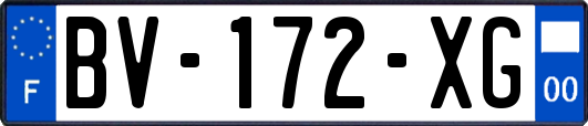 BV-172-XG