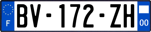 BV-172-ZH