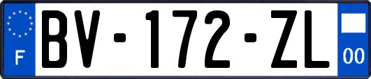 BV-172-ZL