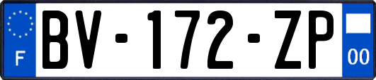 BV-172-ZP