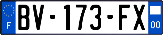 BV-173-FX