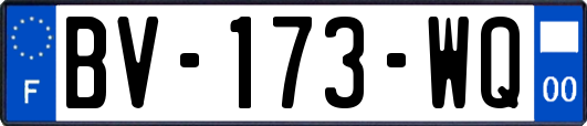 BV-173-WQ