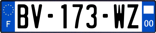 BV-173-WZ