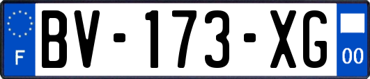 BV-173-XG