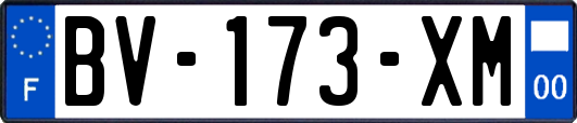 BV-173-XM
