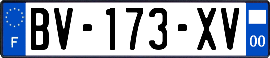 BV-173-XV