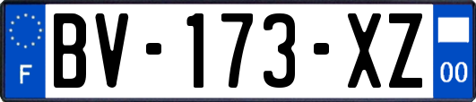 BV-173-XZ