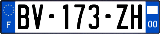 BV-173-ZH