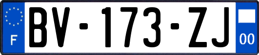 BV-173-ZJ