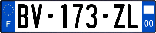 BV-173-ZL