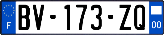 BV-173-ZQ