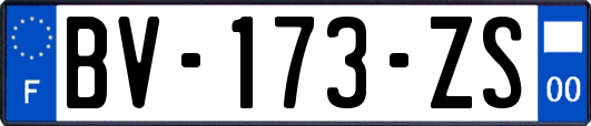 BV-173-ZS