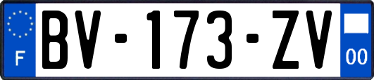 BV-173-ZV