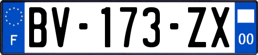 BV-173-ZX