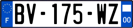 BV-175-WZ