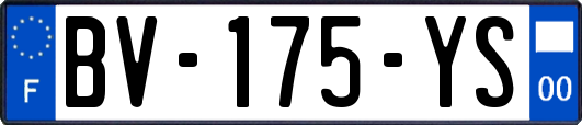 BV-175-YS