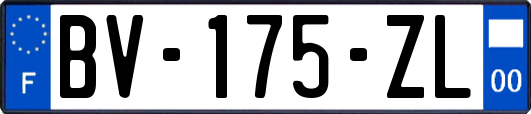 BV-175-ZL