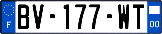 BV-177-WT