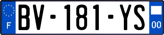 BV-181-YS