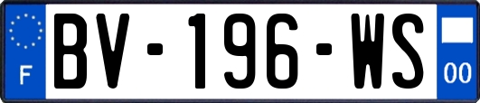 BV-196-WS