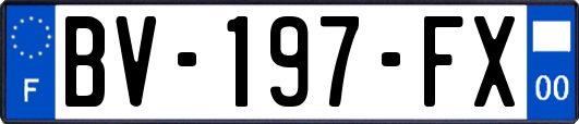 BV-197-FX