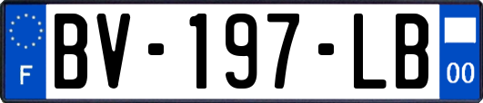 BV-197-LB