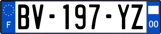 BV-197-YZ