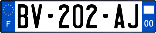 BV-202-AJ