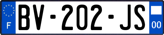 BV-202-JS